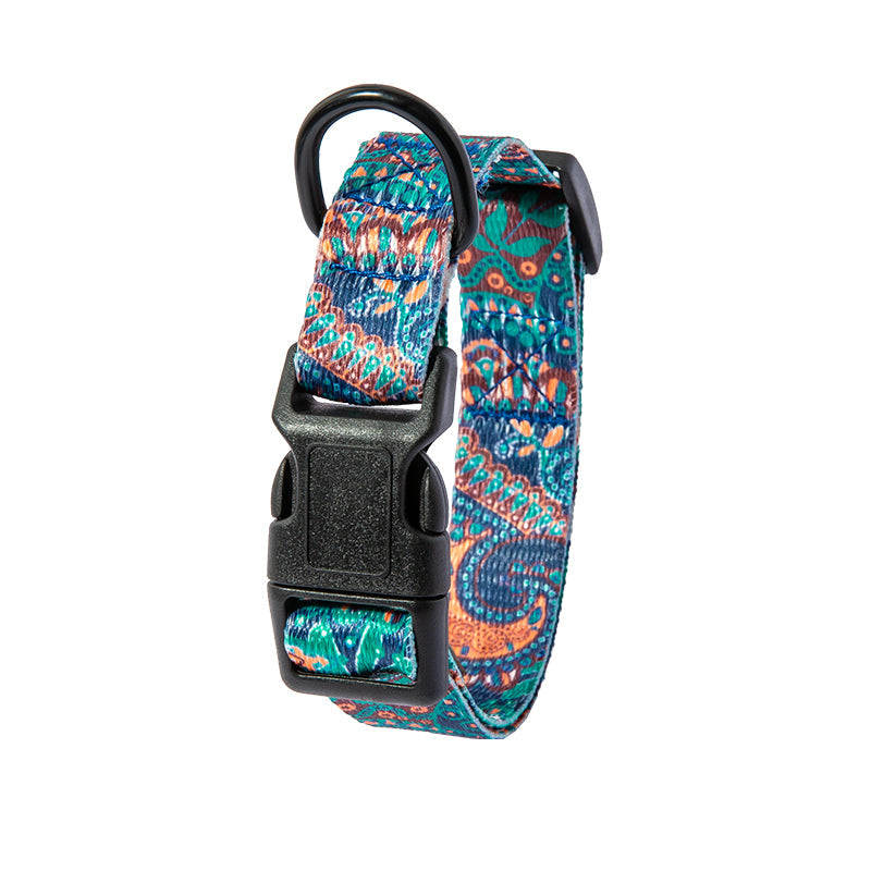 Black and blue dog collar with nylon leash on wooden surface