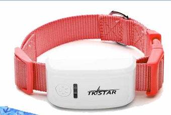 Cat GPS tracker device showing real-time pet location on mobile with geofence and speed alerts