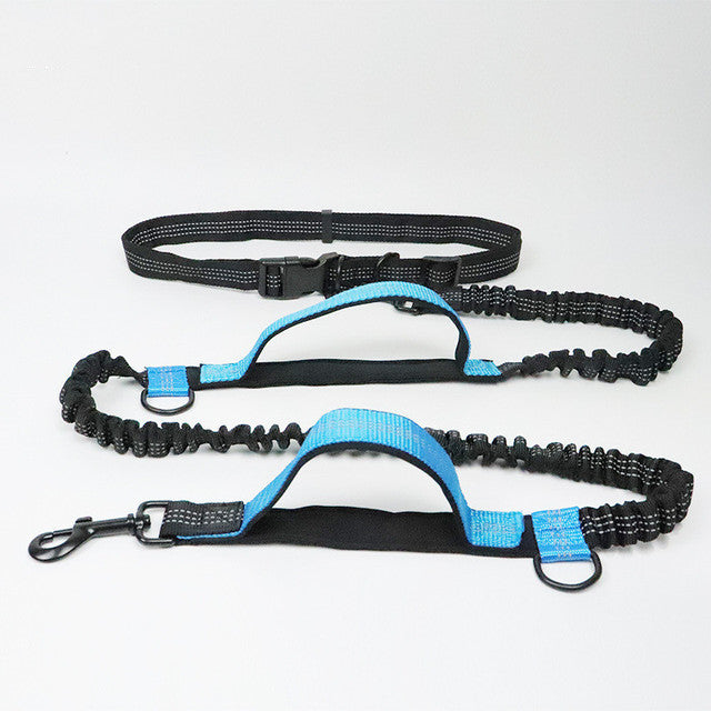 Adjustable fluorescent nylon harness collar jogging leash for pets in green, orange, and blue colors