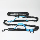Adjustable fluorescent nylon harness collar jogging leash for pets in green, orange, and blue colors