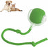 Rolling Ball Ball For Dogs Doggie Ball Interactive Dog Smart Ball Toy Interactive Cat Ball Toy 360  Smart Automatic Rolling Pet Ball null