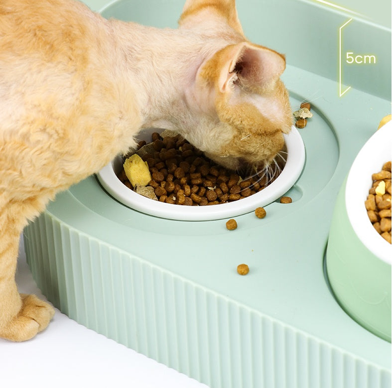 Pet Cat Bowl Ceramic Food Bowl Protect Cervical Spine Food Bowl Food Bowl null