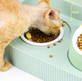 Pet Cat Bowl Ceramic Food Bowl Protect Cervical Spine Food Bowl Food Bowl null