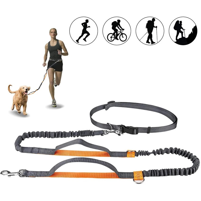 Adjustable fluorescent nylon harness collar jogging pet leash in green, orange, and light blue colors
