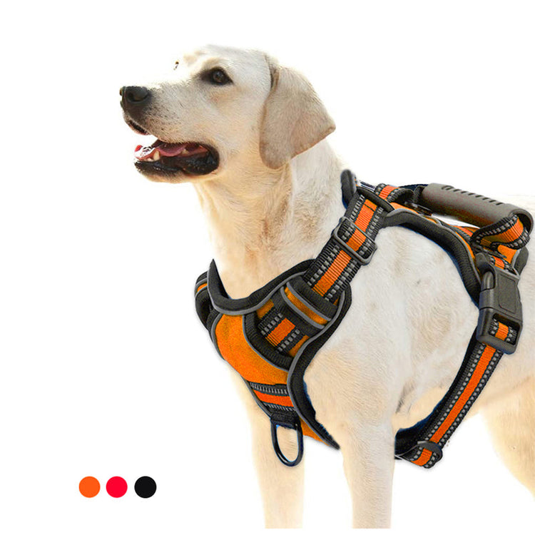 No pull breathable reflective dog harness vest in black and red colors on a dog