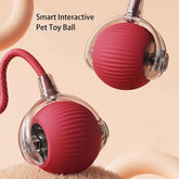 Rolling Ball Ball For Dogs Doggie Ball Interactive Dog Smart Ball Toy Interactive Cat Ball Toy 360  Smart Automatic Rolling Pet Ball null