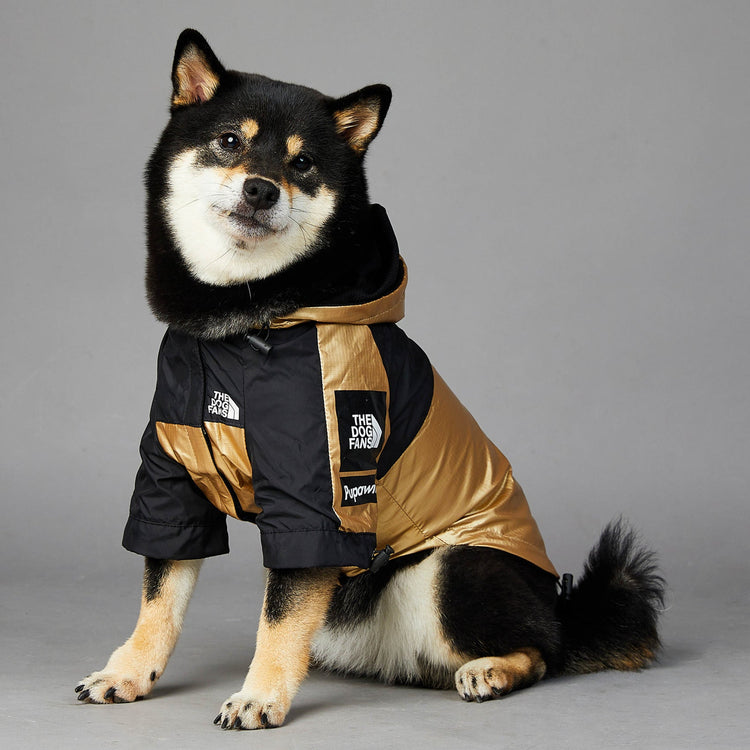 Large golden dog raincoat polyester pet jacket for large dogs
