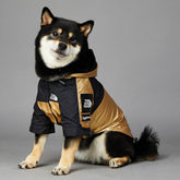 large golden dog raincoat polyester pet jacket for rainy weather