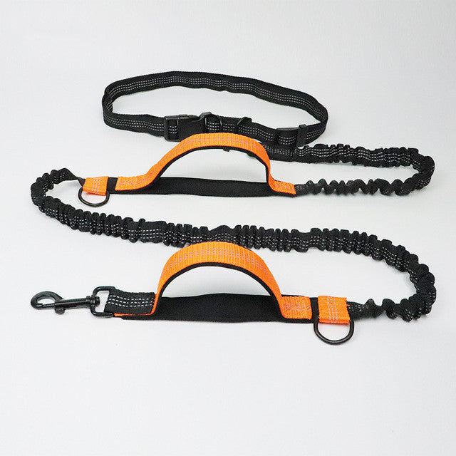 Adjustable fluorescent nylon harness collar jogging pet leash in green, orange, and light blue colors
