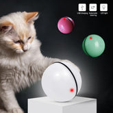 LED laser electronic rolling pet toy ball with colorful lights and catnip stimulation