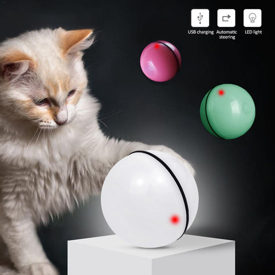 LED laser electronic rolling pet toy ball with colorful lights and catnip stimulation