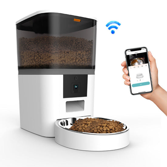 Video camera pet feeder with adjustable performance in black and white for dogs and cats